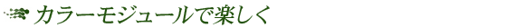 カラーモジュールで楽しく